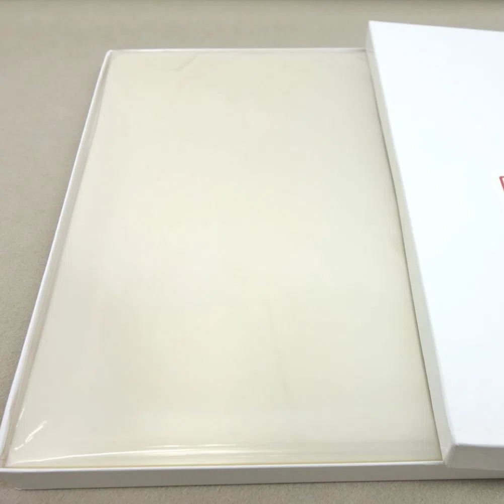 KOKUYO VF-1102 Inkjet OHP-Folie A4 (Japan-Import)